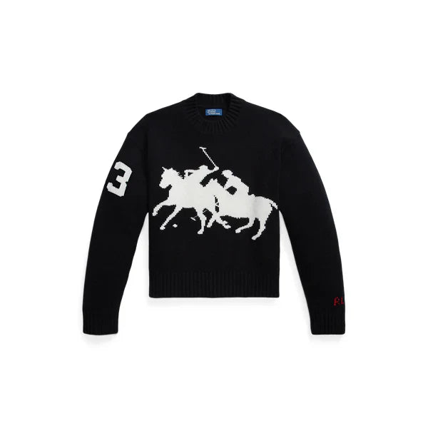 Suéter Graphic Wool