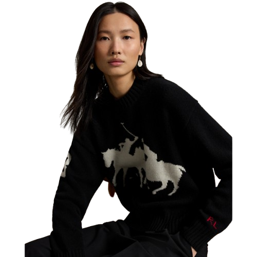 Suéter Graphic Wool